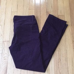 Loft modern straight corduroy pants